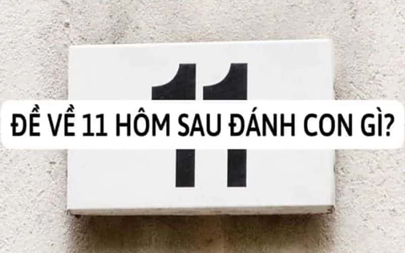 đề vê 11 hôm sau đánh con gì