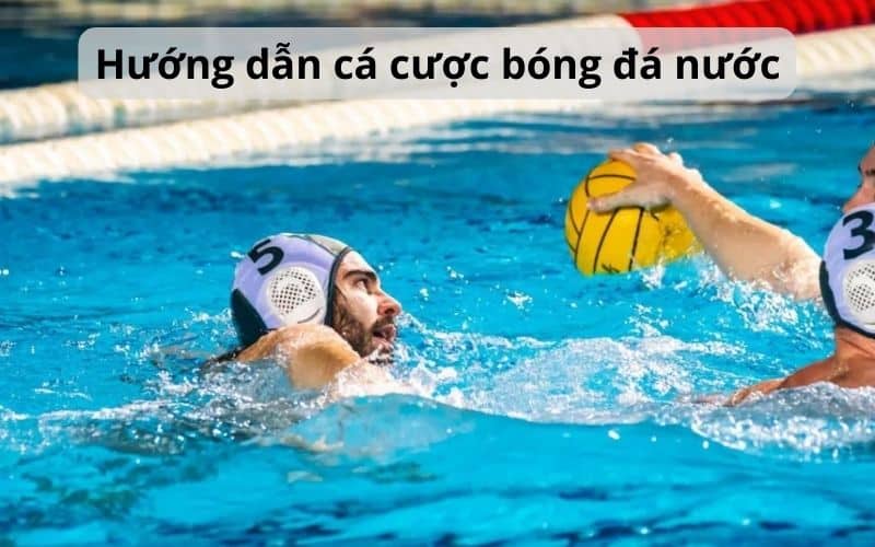 cá cược bóng đá nước