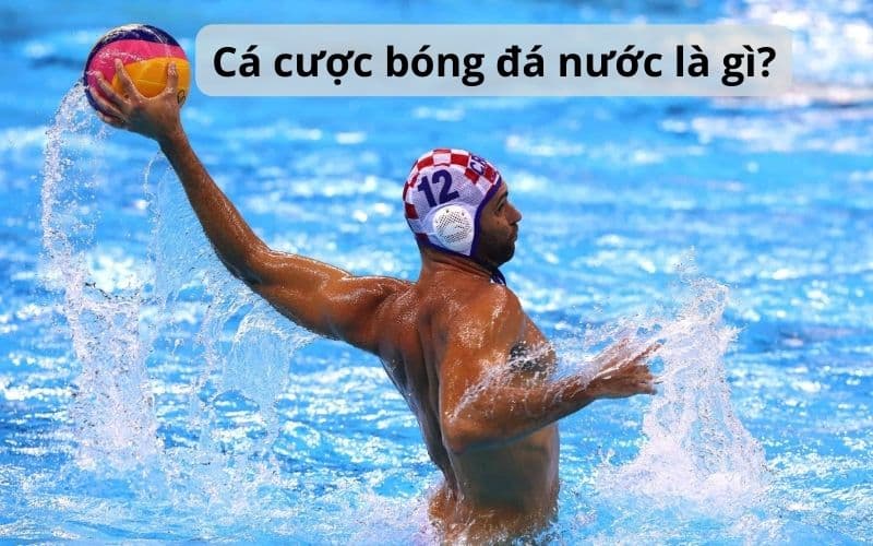 cá cược bóng đá nước