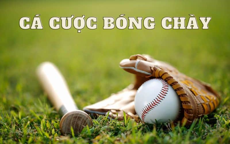 cá cược bóng chày