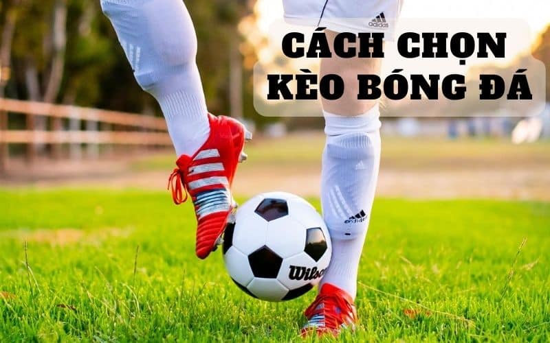 cách chọn kèo bóng đá