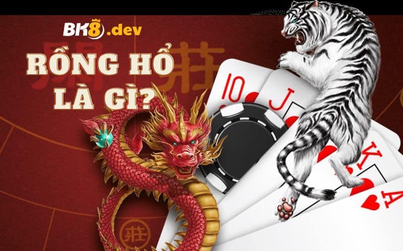 rồng hổ là gì