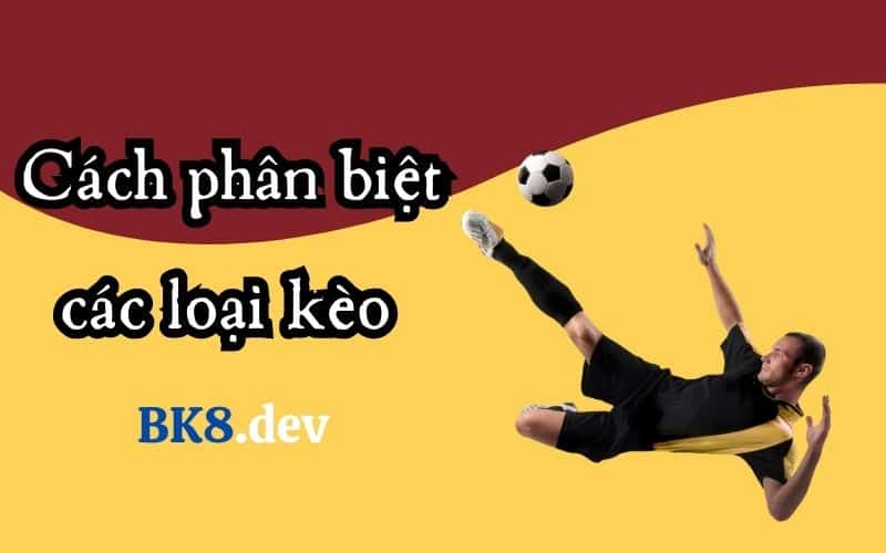 cách phân biệt các loại kèo